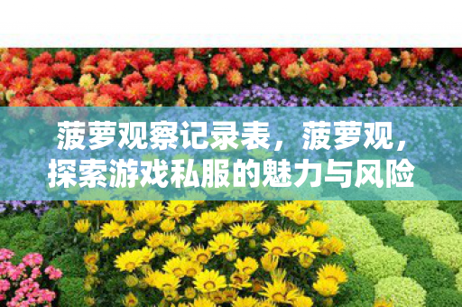 菠萝观察记录表，菠萝观，探索游戏私服的魅力与风险