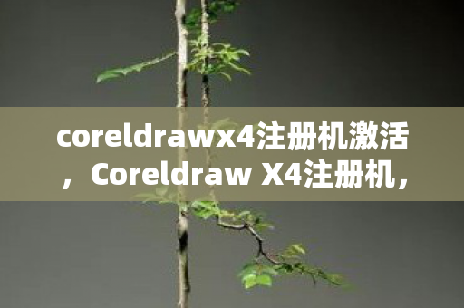 coreldrawx4注册机激活，Coreldraw X4注册机，合法激活的便捷之道