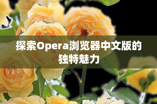 探索Opera浏览器中文版的独特魅力