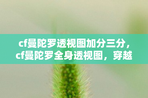 cf曼陀罗透视图加分三分，cf曼陀罗全身透视图，穿越火线的神秘魅力