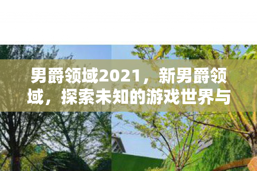 男爵领域2021，新男爵领域，探索未知的游戏世界与社交互动
