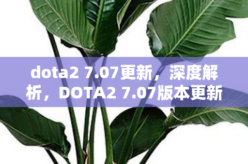 dota2 7.07更新，深度解析，DOTA2 7.07版本更新背后的故事