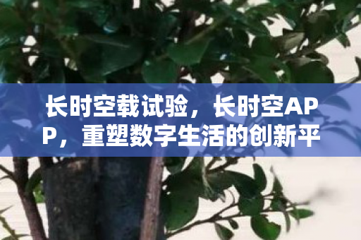 长时空载试验，长时空APP，重塑数字生活的创新平台