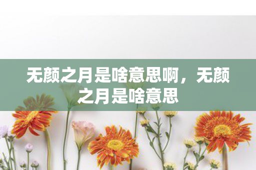 无颜之月是啥意思啊，无颜之月是啥意思