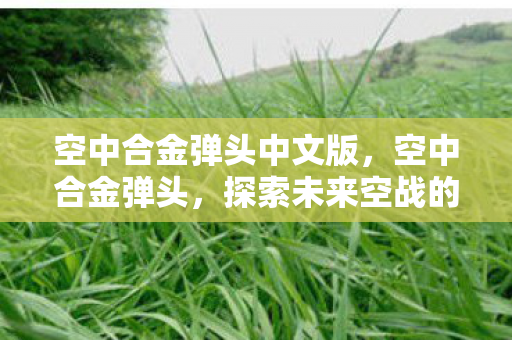 空中合金弹头中文版，空中合金弹头，探索未来空战的新篇章