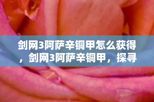 剑网3阿萨辛铜甲怎么获得，剑网3阿萨辛铜甲，探寻古风江湖的时尚潮流