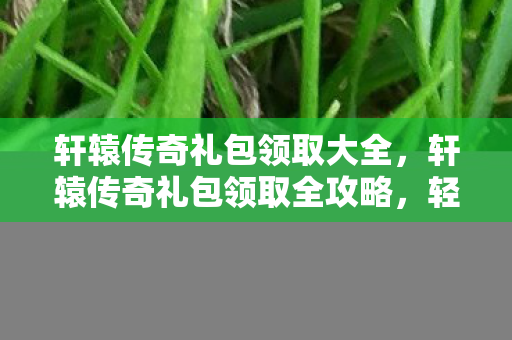 轩辕传奇礼包领取大全，轩辕传奇礼包领取全攻略，轻松获取丰厚奖励，助力游戏之旅！