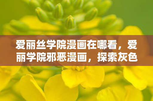 爱丽丝学院漫画在哪看，爱丽学院邪恶漫画，探索灰色世界的另一面