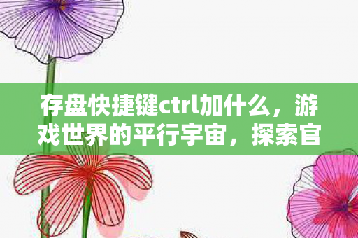 存盘快捷键ctrl加什么，游戏世界的平行宇宙，探索官方与私服的独特魅力