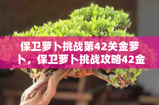 保卫萝卜挑战第42关金萝卜，保卫萝卜挑战攻略42金萝卜，策略与技巧大揭秘