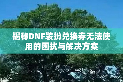 揭秘DNF装扮兑换券无法使用的困扰与解决方案