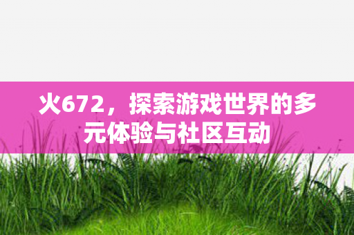火672，探索游戏世界的多元体验与社区互动