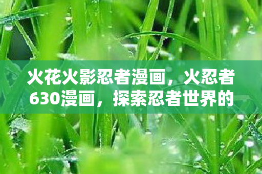 火花火影忍者漫画，火忍者630漫画，探索忍者世界的奇幻之旅