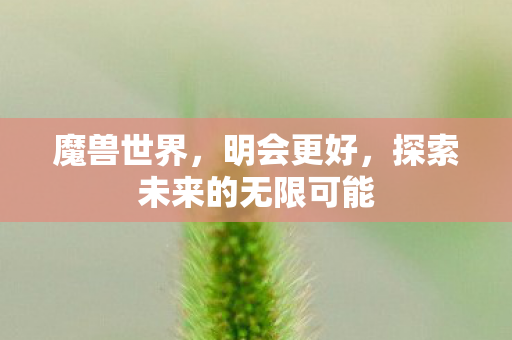 魔兽世界，明会更好，探索未来的无限可能