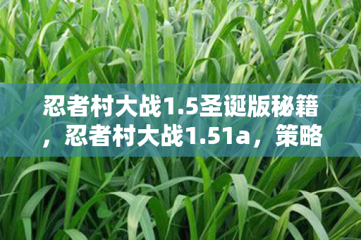 忍者村大战1.5圣诞版秘籍，忍者村大战1.51a，策略与技巧的完美融合