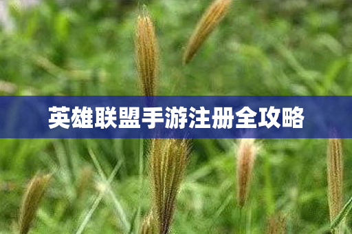 英雄联盟手游注册全攻略