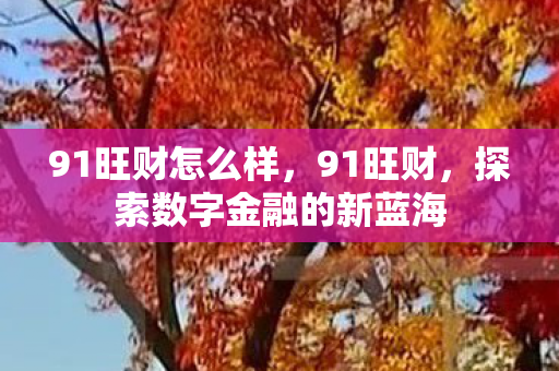 91旺财怎么样，91旺财，探索数字金融的新蓝海