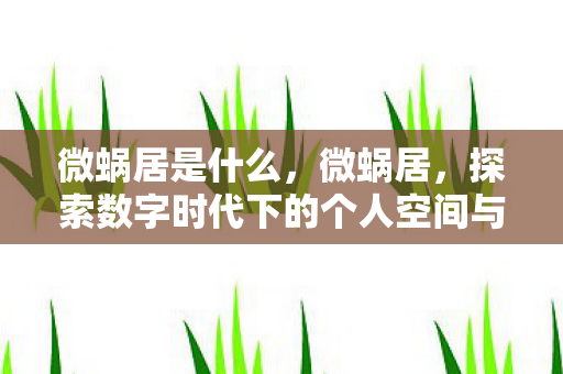 微蜗居是什么，微蜗居，探索数字时代下的个人空间与生活方式