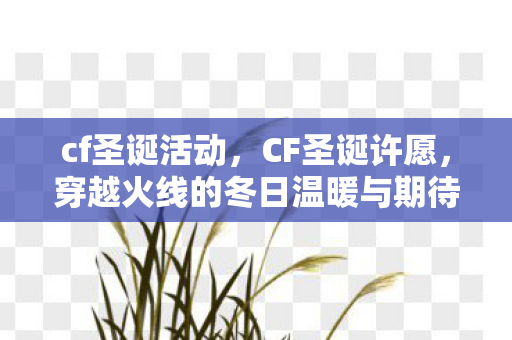 cf圣诞活动，CF圣诞许愿，穿越火线的冬日温暖与期待