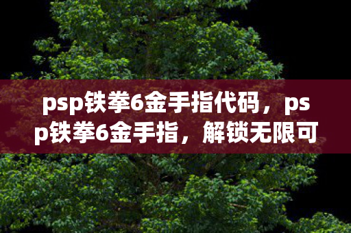 psp铁拳6金手指代码，psp铁拳6金手指，解锁无限可能的金手指秘籍