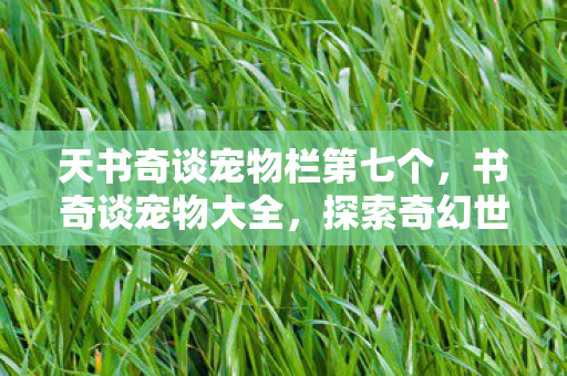 天书奇谈宠物栏第七个，书奇谈宠物大全，探索奇幻世界的奇妙宠物