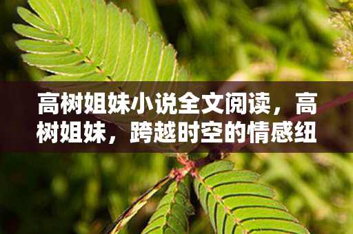 高树姐妹小说全文阅读，高树姐妹，跨越时空的情感纽带