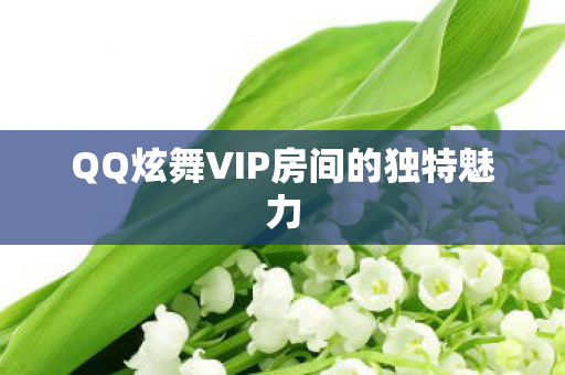 QQ炫舞VIP房间的独特魅力
