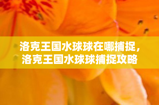 洛克王国水球球在哪捕捉，洛克王国水球球捕捉攻略