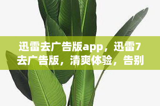 迅雷去广告版app，迅雷7去广告版，清爽体验，告别繁琐广告
