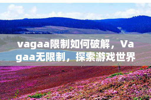 vagaa限制如何破解，Vagaa无限制，探索游戏世界的无限可能