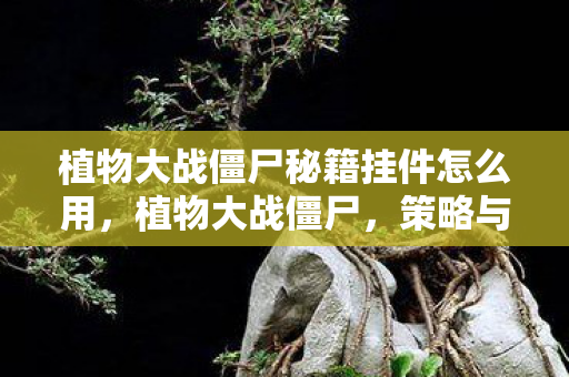 植物大战僵尸秘籍挂件怎么用，植物大战僵尸，策略与技巧的深度解析