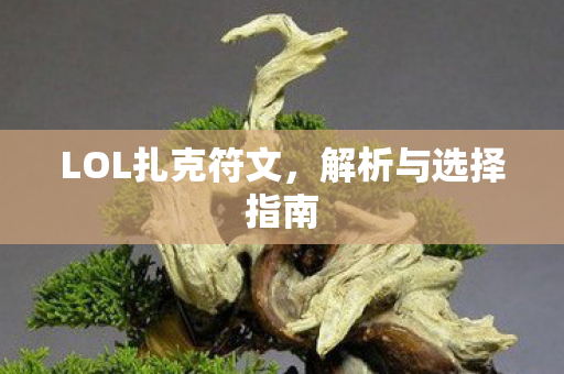 LOL扎克符文,解析与选择指南 LOL扎克符文,解析与选择指南
