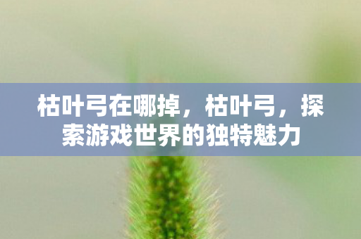 枯叶弓在哪掉，枯叶弓，探索游戏世界的独特魅力