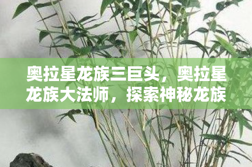 奥拉星龙族三巨头，奥拉星龙族大法师，探索神秘龙族的奇幻之旅
