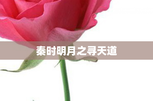秦时明月之寻天道 秦时明月之寻天道