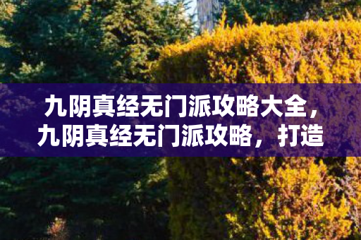 九阴真经无门派攻略大全，九阴真经无门派攻略，打造全能高手的秘籍