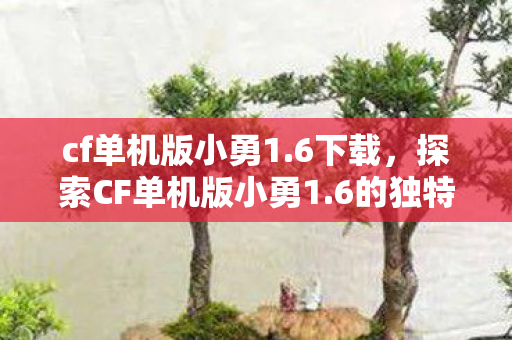 cf单机版小勇1.6下载，探索CF单机版小勇1.6的独特魅力