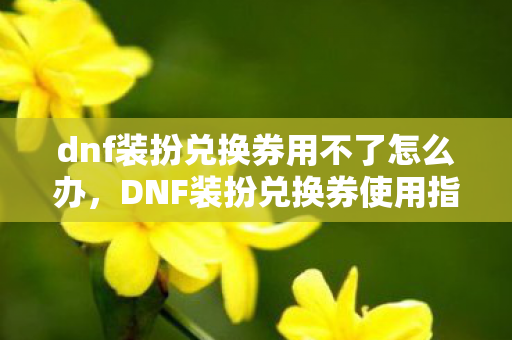 dnf装扮兑换券用不了怎么办，DNF装扮兑换券使用指南，解锁全新外观，打造个性角色