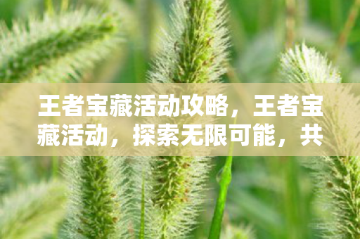 王者宝藏活动攻略，王者宝藏活动，探索无限可能，共享荣耀时刻