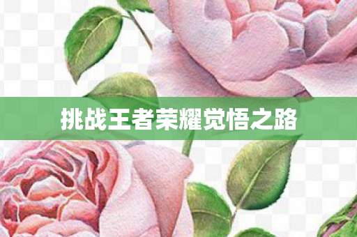 挑战王者荣耀觉悟之路 挑战王者荣耀觉悟之路
