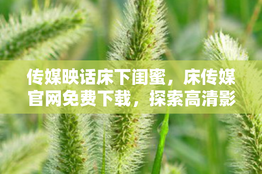 传媒映话床下闺蜜，床传媒官网免费下载，探索高清影视资源的便捷之道