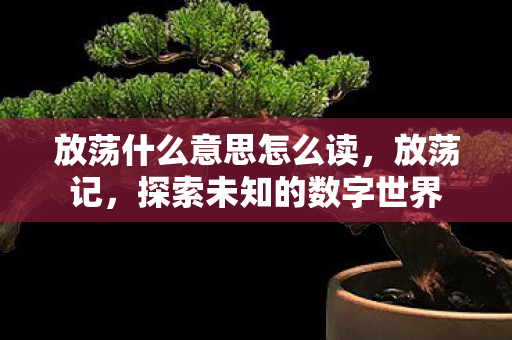 放荡什么意思怎么读，放荡记，探索未知的数字世界