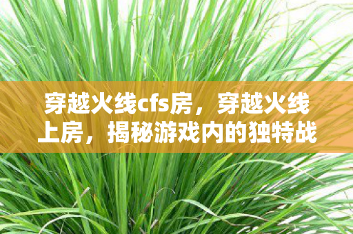 穿越火线cfs房，穿越火线上房，揭秘游戏内的独特战术与技巧