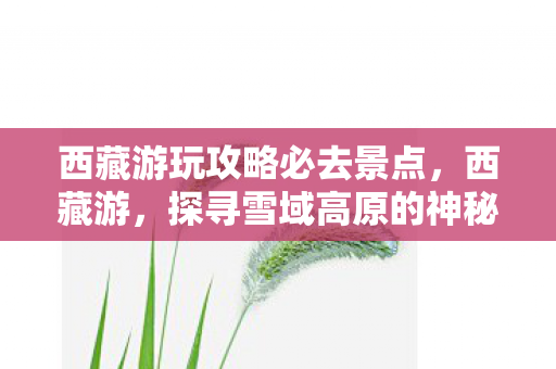 西藏游玩攻略必去景点，西藏游，探寻雪域高原的神秘与壮美