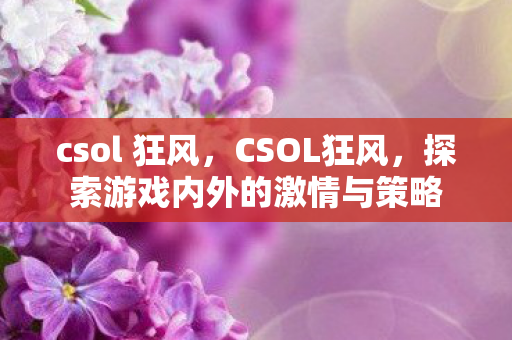 csol 狂风，CSOL狂风，探索游戏内外的激情与策略