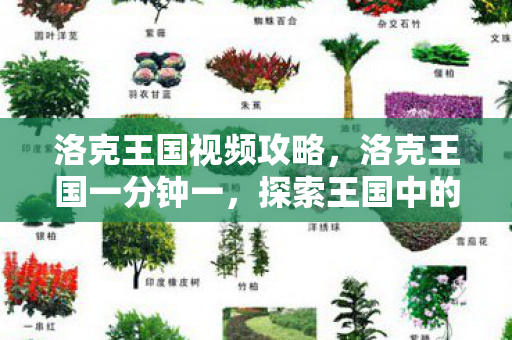 洛克王国视频攻略，洛克王国一分钟一，探索王国中的奇妙冒险