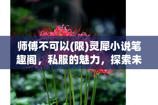 师傅不可以(限)灵犀小说笔趣阁，私服的魅力，探索未知的游戏世界