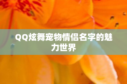 QQ炫舞宠物情侣名字的魅力世界