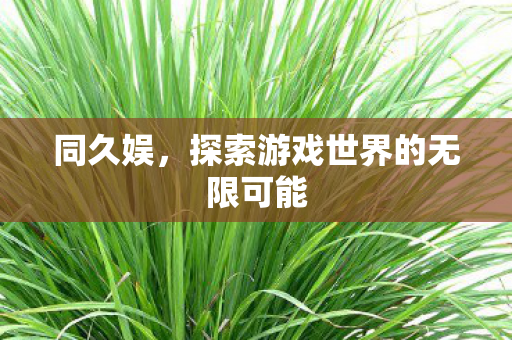 同久娱，探索游戏世界的无限可能