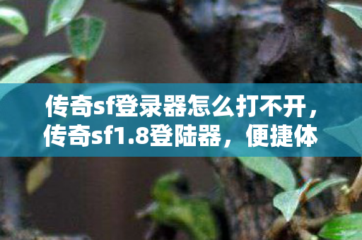 传奇sf登录器怎么打不开，传奇sf1.8登陆器，便捷体验，重塑经典